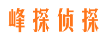 罗城外遇调查取证